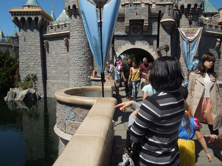 Disneyland Castle Picture